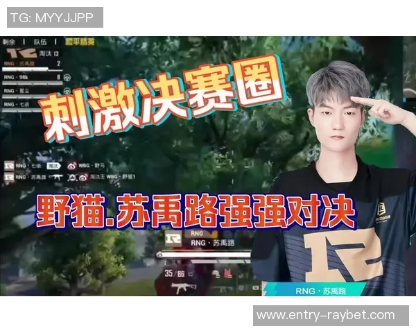 和平精英最新配合排行榜揭晓RNG战队荣登第二名引发热议